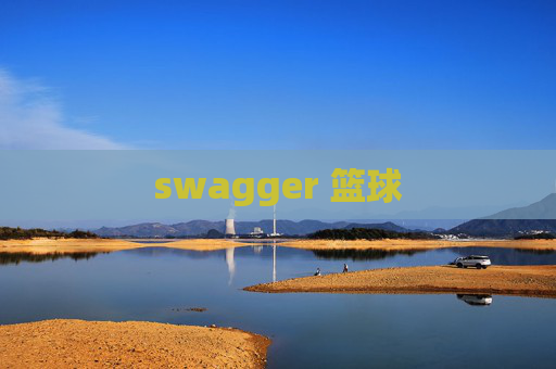 swagger 篮球 swagger 篮球